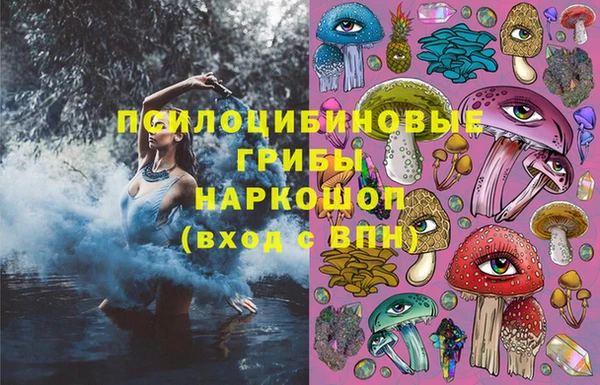 ПСИЛОЦИБИНОВЫЕ ГРИБЫ Алзамай