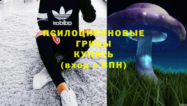 спиды Нягань