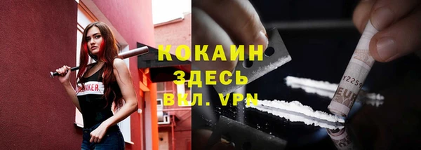 ПСИЛОЦИБИНОВЫЕ ГРИБЫ Алзамай
