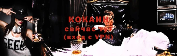 соль ск Алексин