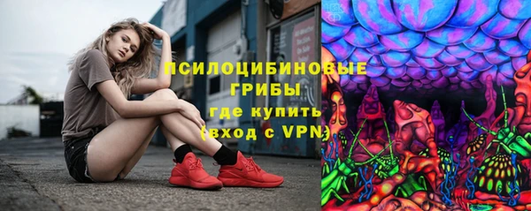 индика Алексеевка